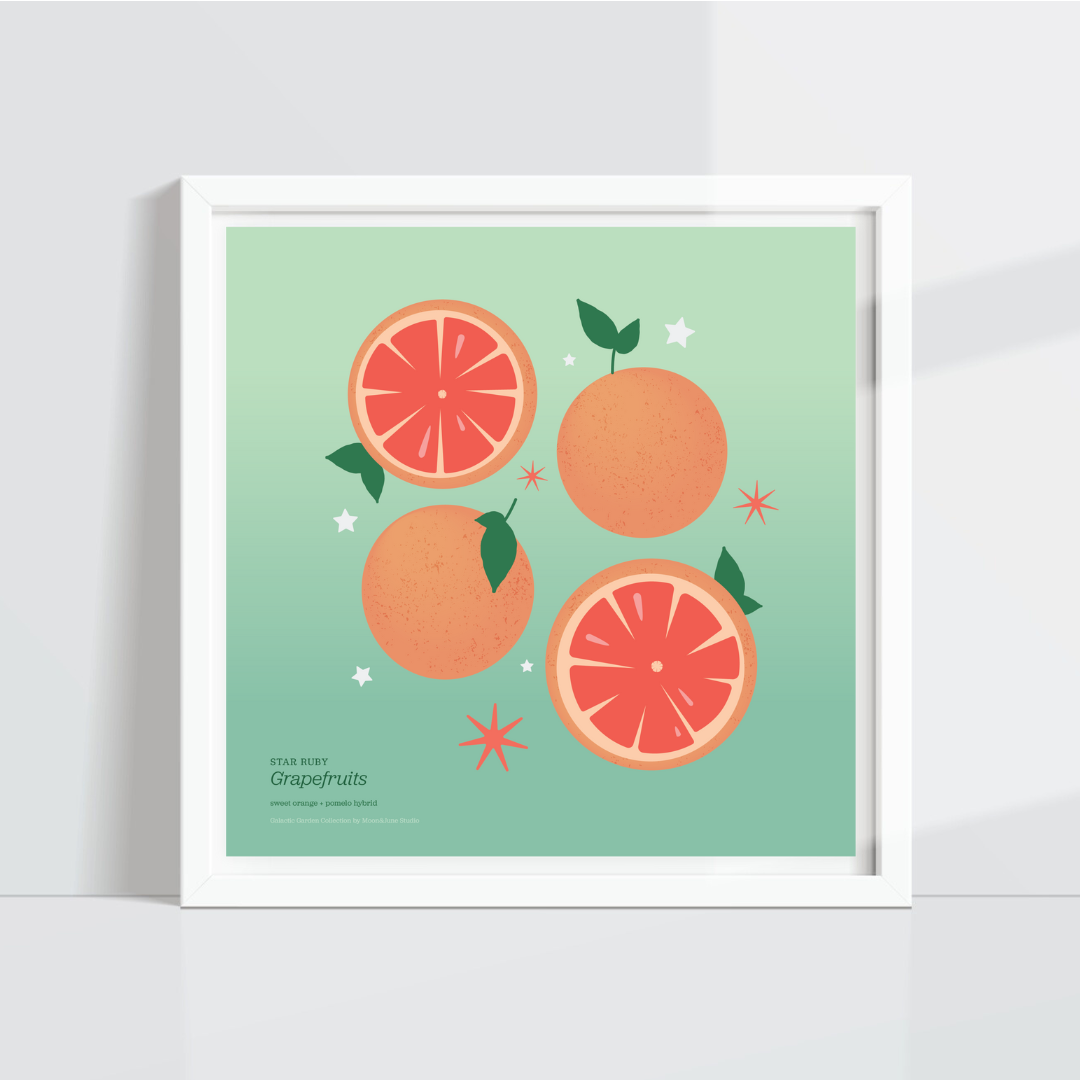 Star Ruby Grapefruits
