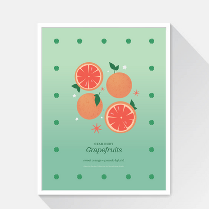 Star Ruby Grapefruits