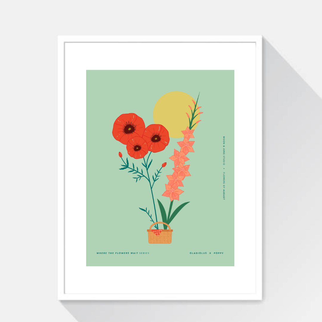 Gladiolus x Poppy
