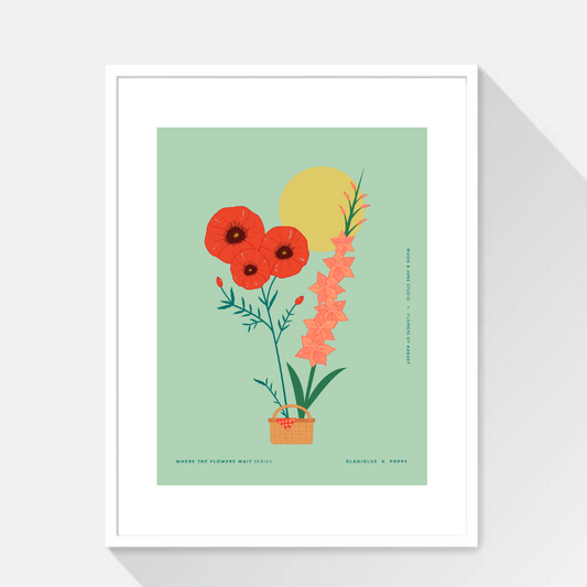 Gladiolus x Poppy