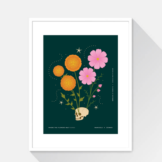Marigold x Cosmos