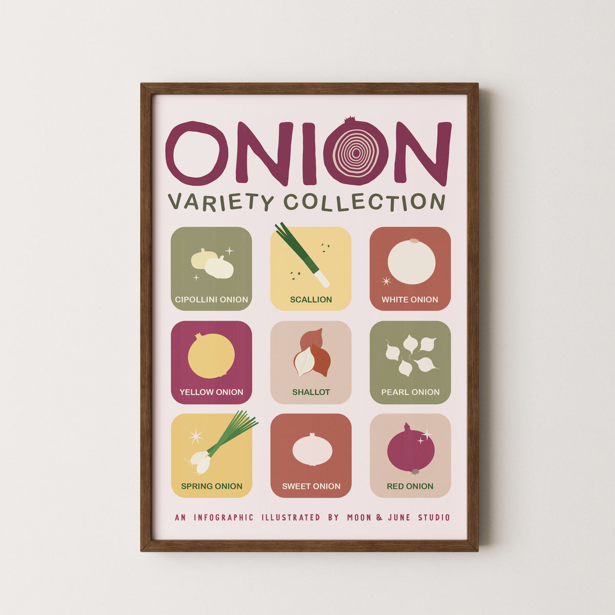 Onion Varieties Infographic