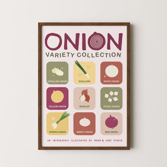 Onion Varieties Infographic