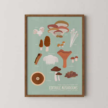 Edible Mushroom Infographic I