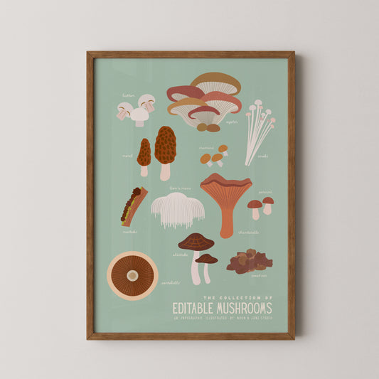 Edible Mushroom Infographic I