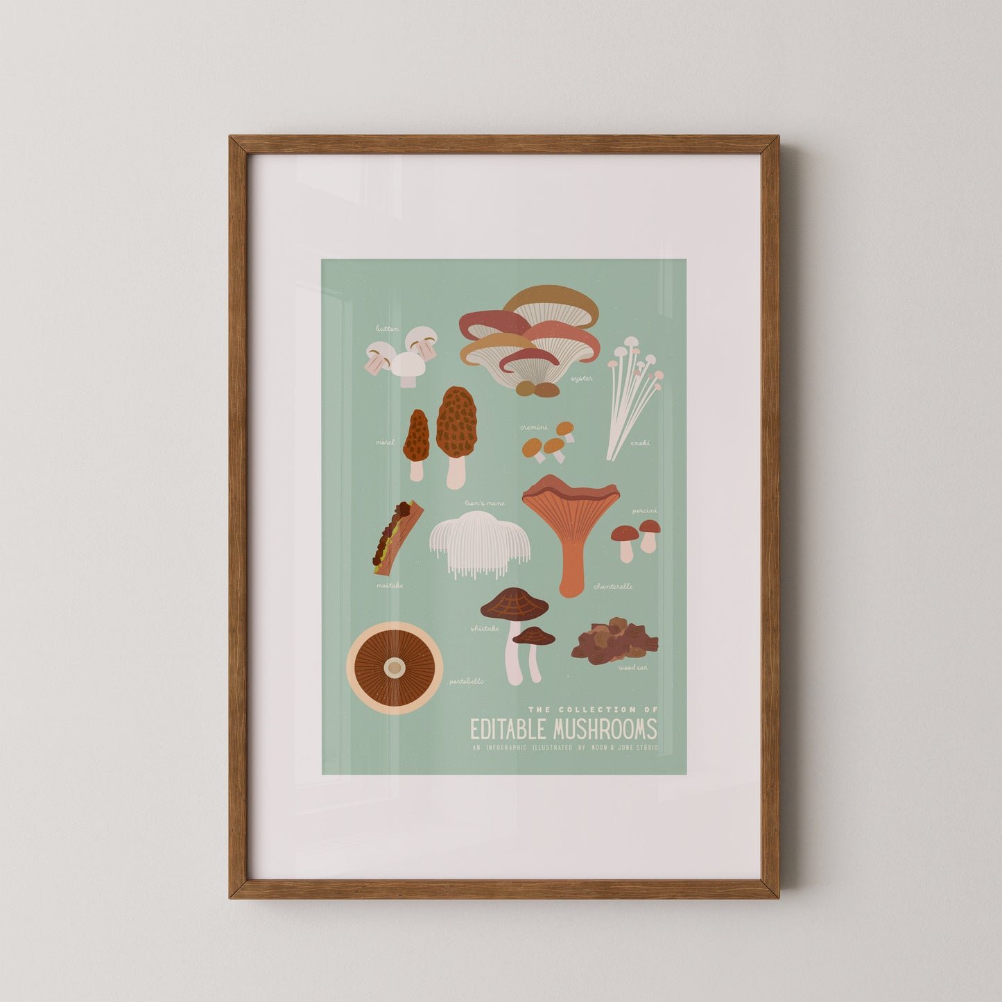 Edible Mushroom Infographic I