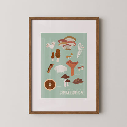 Edible Mushroom Infographic I