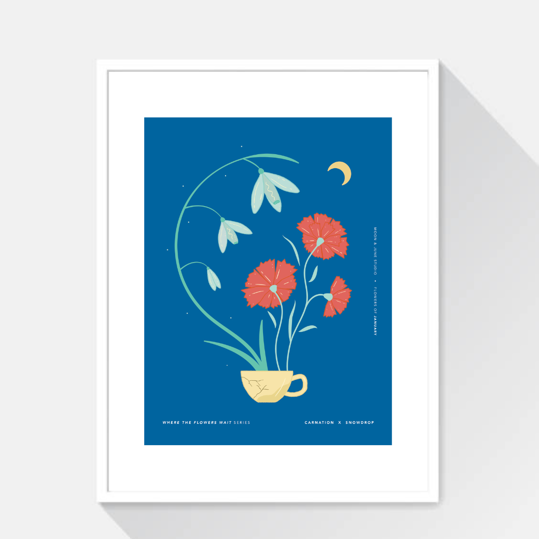 Carnation x Snowdrop