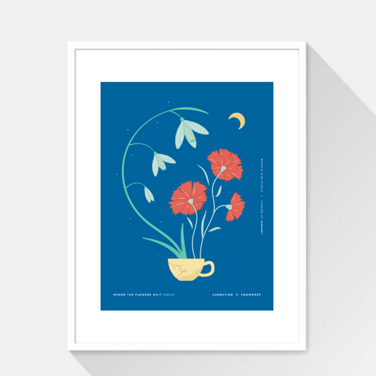 Carnation x Snowdrop