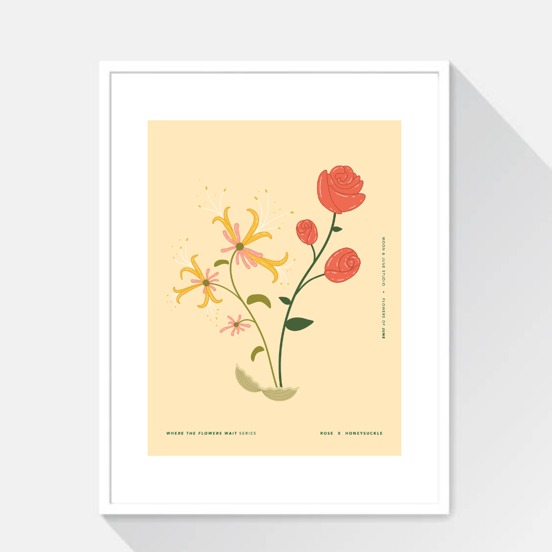 Rose x Honeysuckle