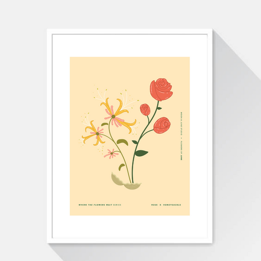 Rose x Honeysuckle